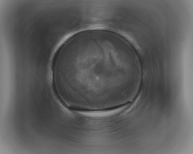 X0000110881414200906251239