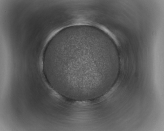 X0000110881415200906251239