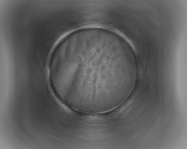 X0000110881416200906251239