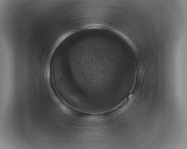 X0000110881418200906251239