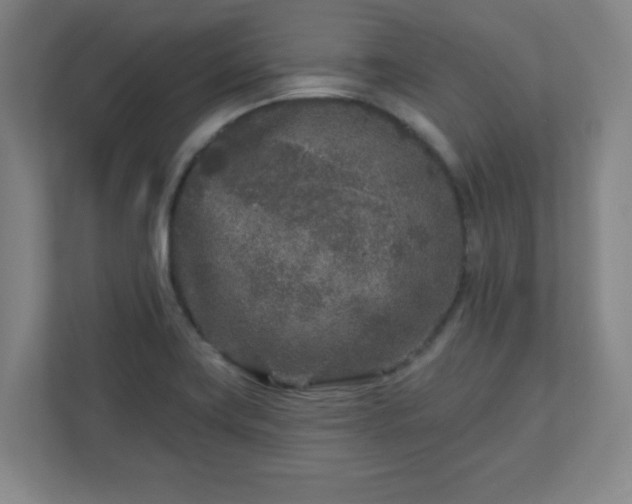 X0000110881419200906251239