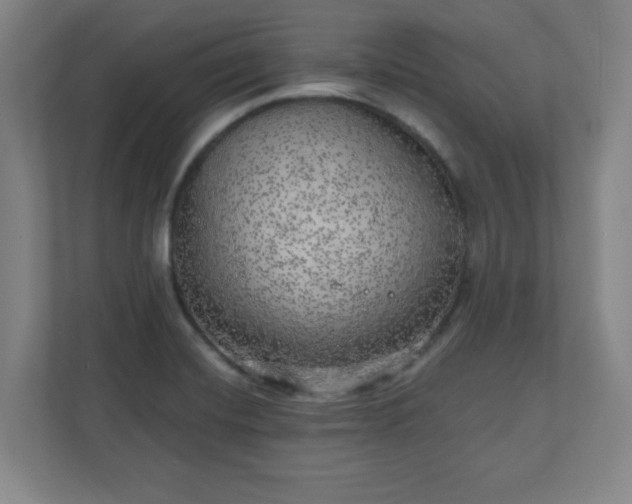 X0000110881420200906251239