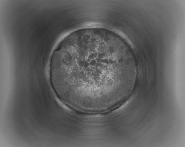 X0000110881421200906251239