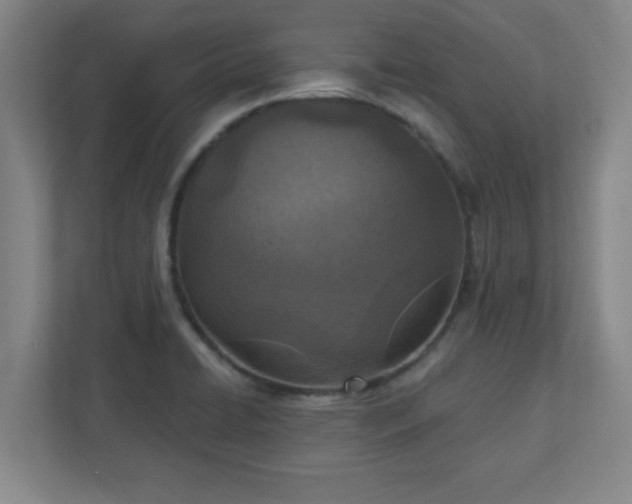 X0000110881422200906251240