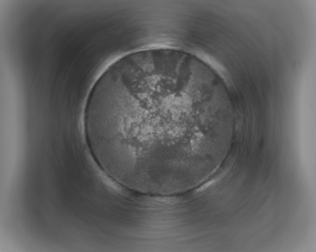 X0000110881423200906251240