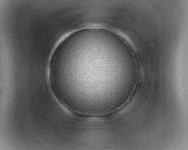 X0000110881424200906251240