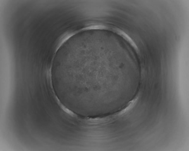 X0000110881425200906251240
