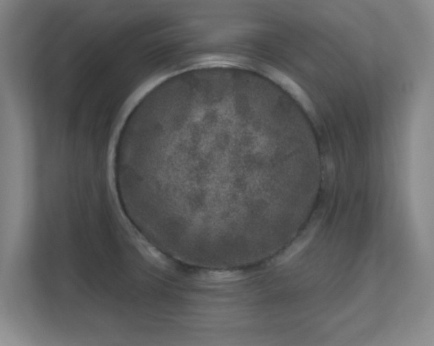X0000110881427200906251240
