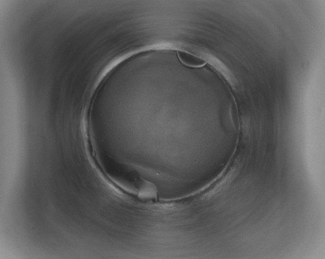 X0000110881428200906251240