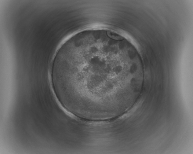 X0000110881429200906251240