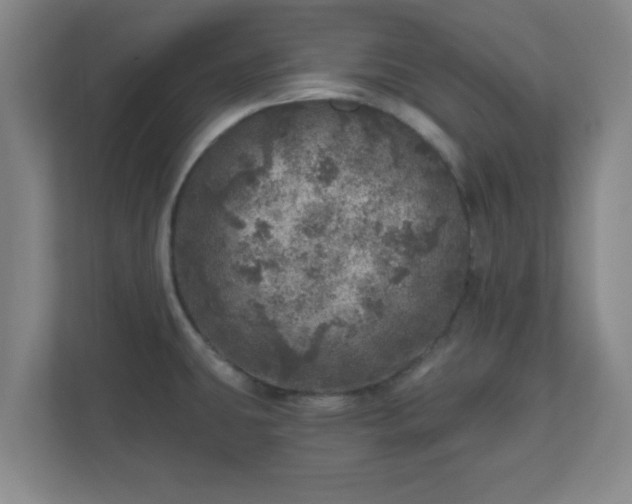 X0000110881431200906251240