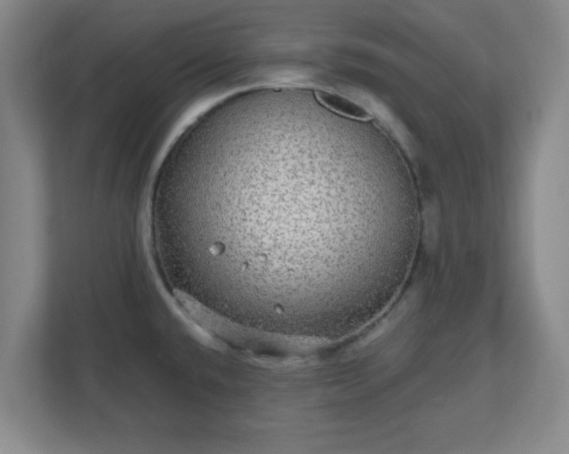 X0000110881432200906251240
