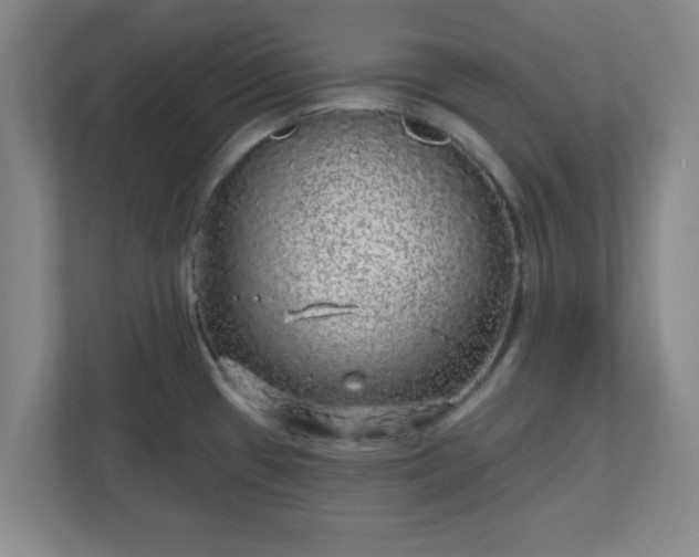 X0000110881433200906251240