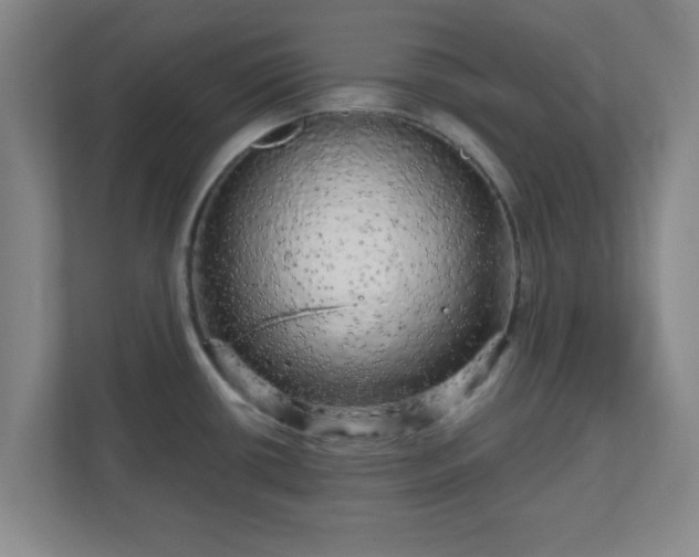 X0000110881434200906251240
