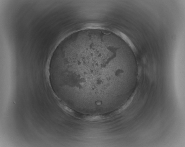 X0000110881435200906251240