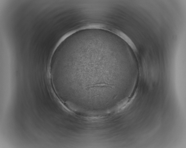 X0000110881436200906251240