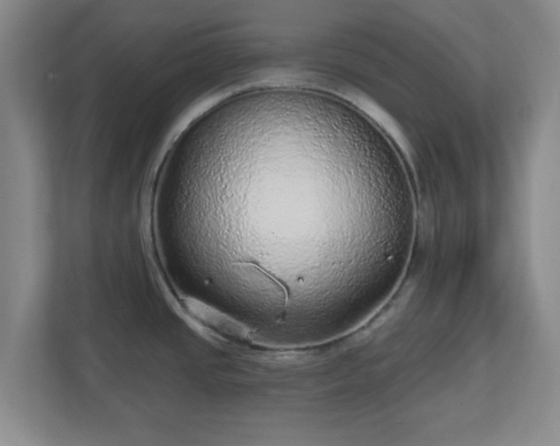 X0000110881437200906251240