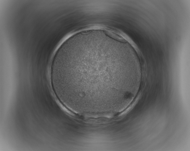 X0000110881438200906251240
