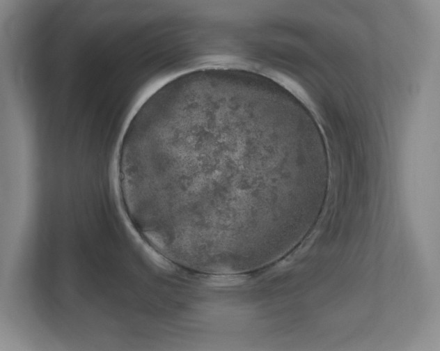 X0000110881440200906251240
