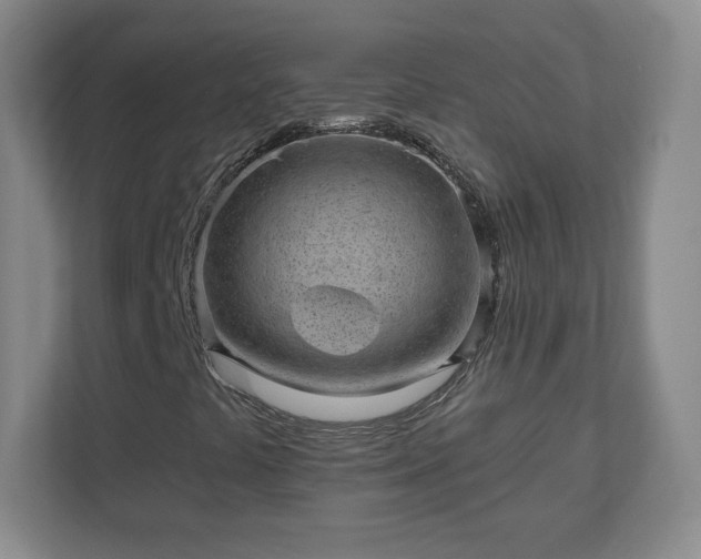 X0000110881441200906251239