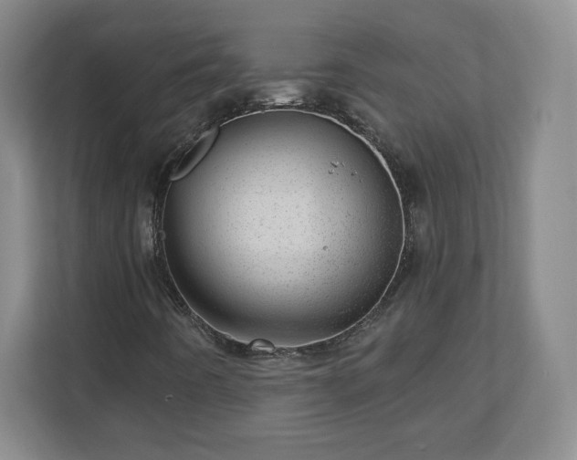X0000110881442200906251239