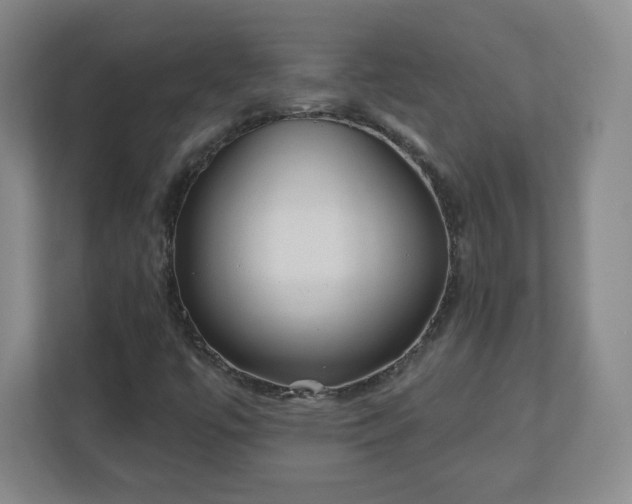 X0000110881447200906251239