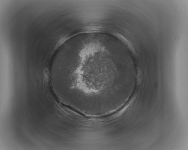 X0000110881449200906251239