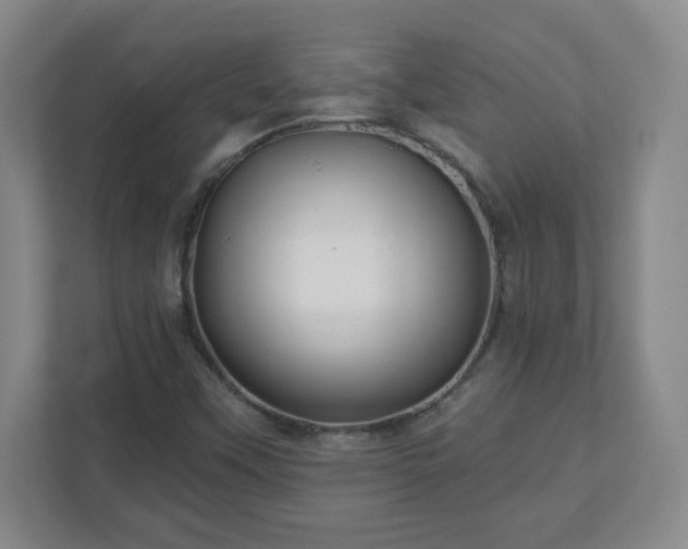 X0000110881451200906251239