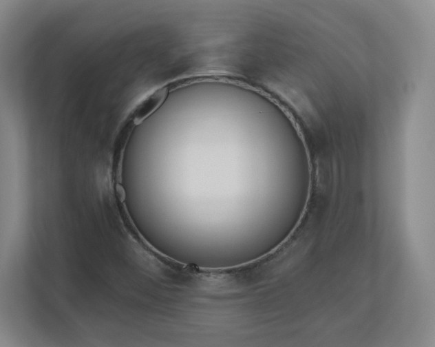 X0000110881452200906251239