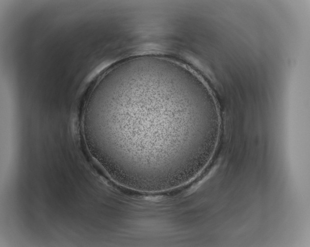 X0000110881453200906251239
