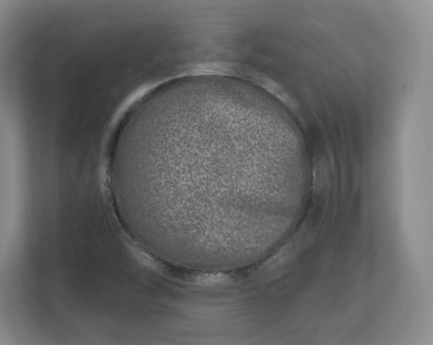 X0000110881454200906251239