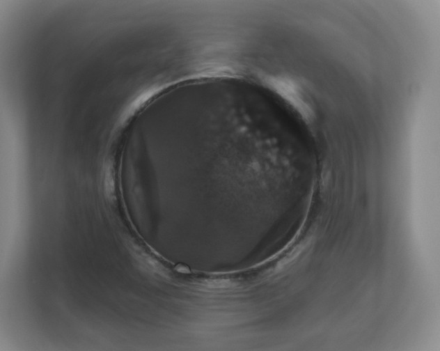 X0000110881455200906251239