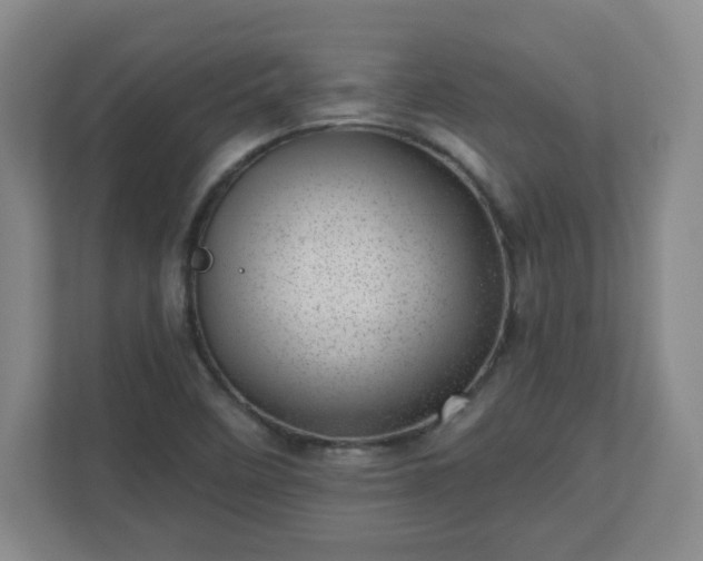 X0000110881458200906251239