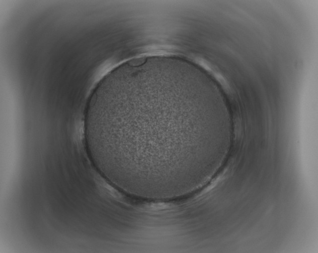 X0000110881459200906251239