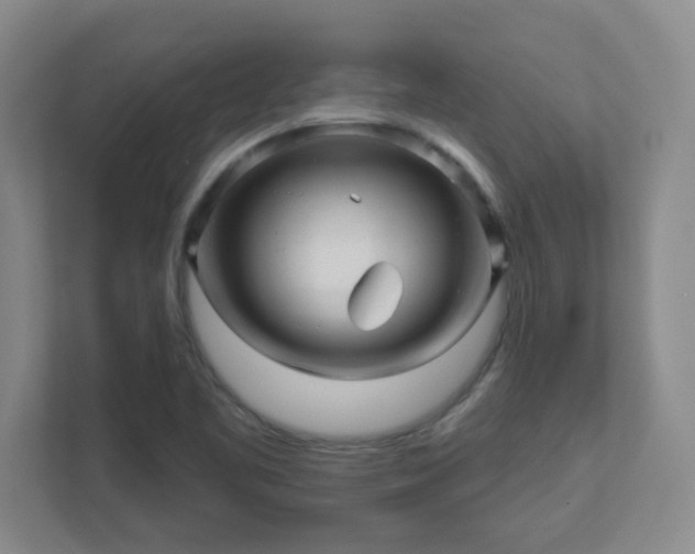X0000110881461200906251239