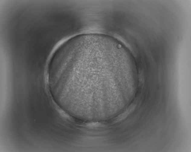 X0000110881462200906251239