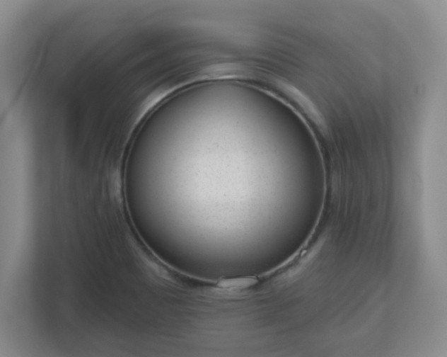 X0000110881465200906251239