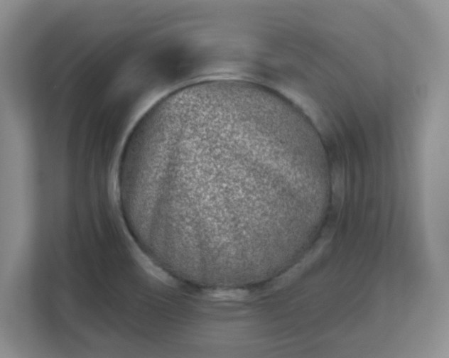 X0000110881466200906251239