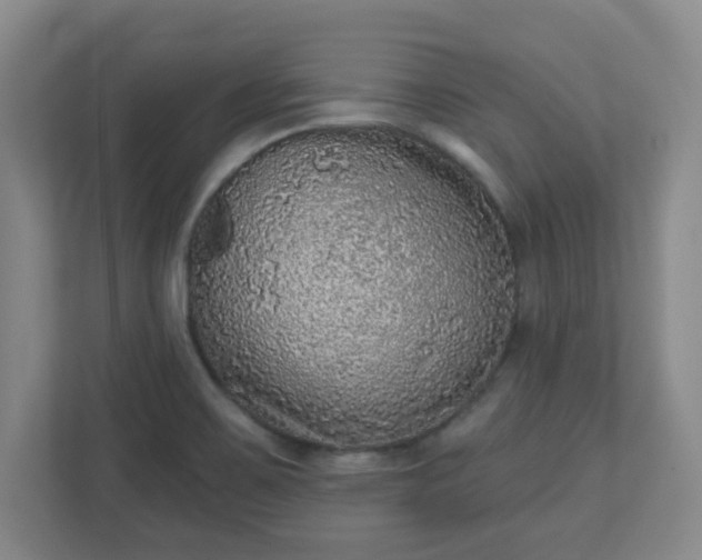 X0000110881467200906251239