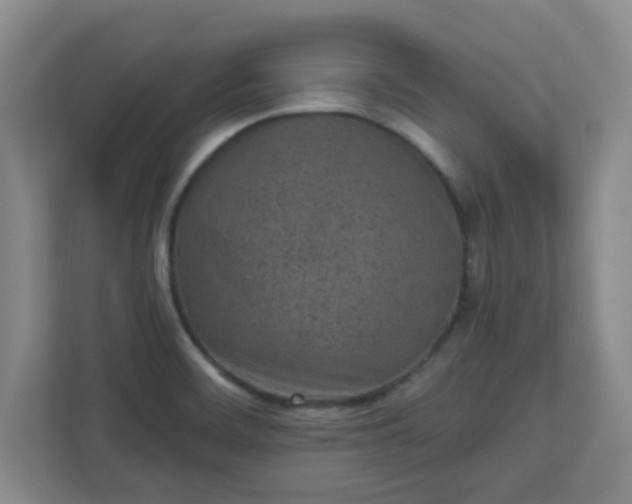 X0000110881468200906251239