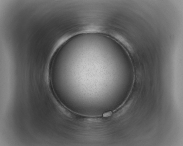 X0000110881469200906251239