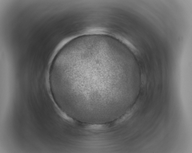 X0000110881470200906251239