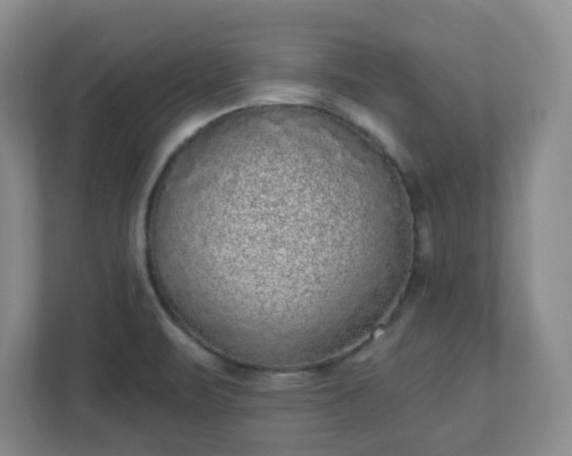 X0000110881471200906251239