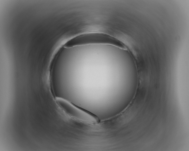 X0000110881472200906251239