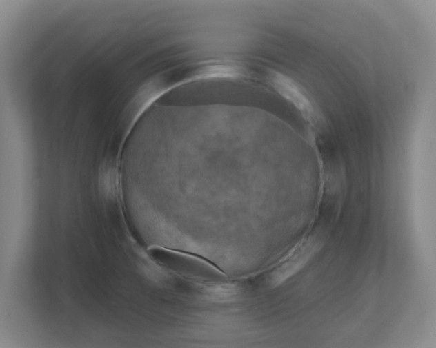 X0000110881473200906251239