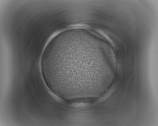 X0000110881474200906251239