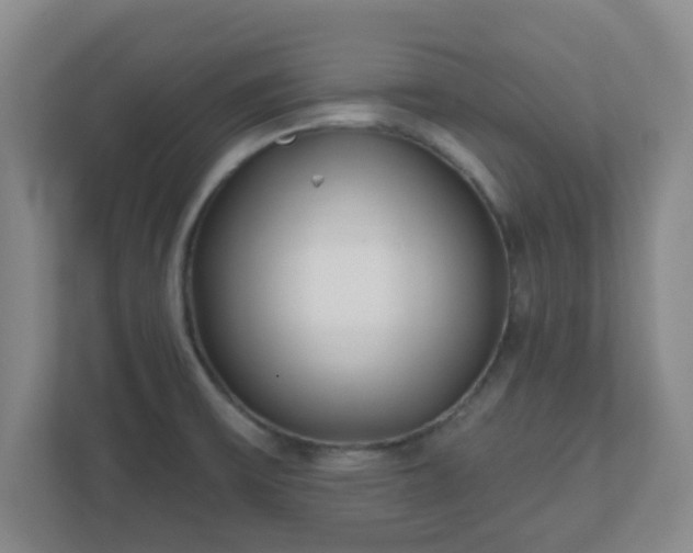 X0000110881475200906251239