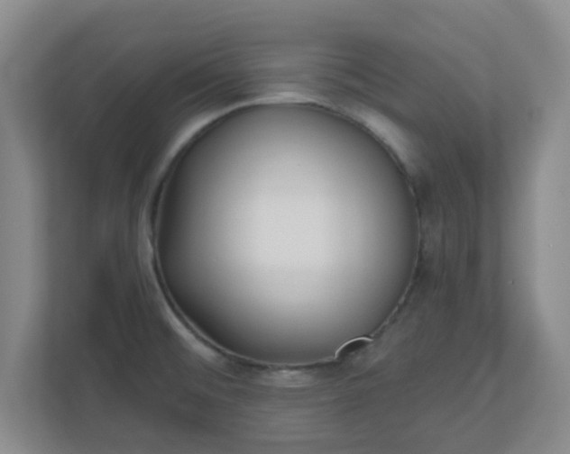 X0000110881476200906251239