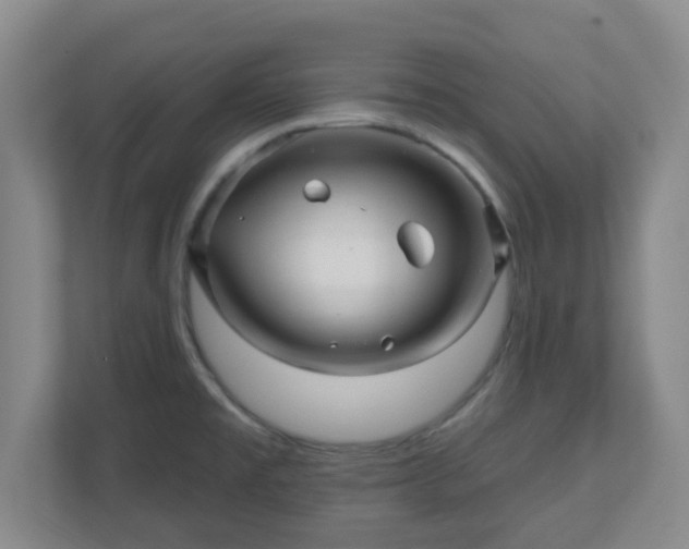 X0000110881477200906251239
