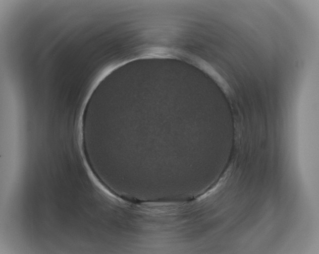 X0000110881479200906251239
